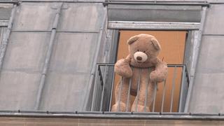 Osos de peluche gigantes en pleno París