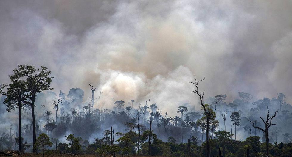 El humo sale de los incendios forestales en Altamira, estado de Pará, Brasil, en la cuenca del Amazonas. (Foto: AFP/Archivo)