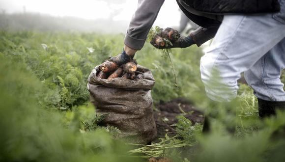 Todavía queda camino por recorrer –el consejo regional debe aprobar la adenda– y el estudio de impacto ambiental (EIA) del proyecto vence en mayo –de modo que nuevas demoras implicarían un alto riesgo.