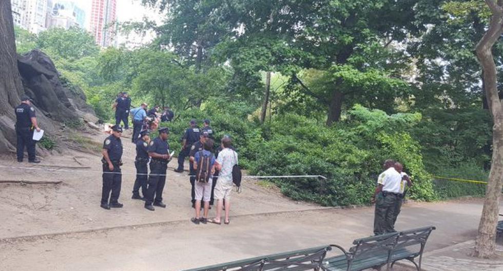 Se registró una explosión en el Central Park, principal centro de esparcimiento de New York. (Foto: NewYorker.com)