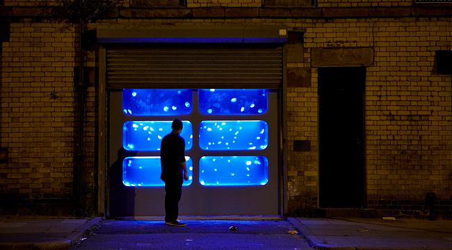 ¿Un local lleno de medusas? Conoce esta instalación en Londres - 1