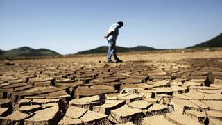 ¿Cómo la deforestación dejaría sin agua y en “estado de calamidad” a Sao Paulo?