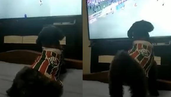 La mascota demuestra su amor por el Fluminense. (Foto: Captura/Instagram-Futboleros)