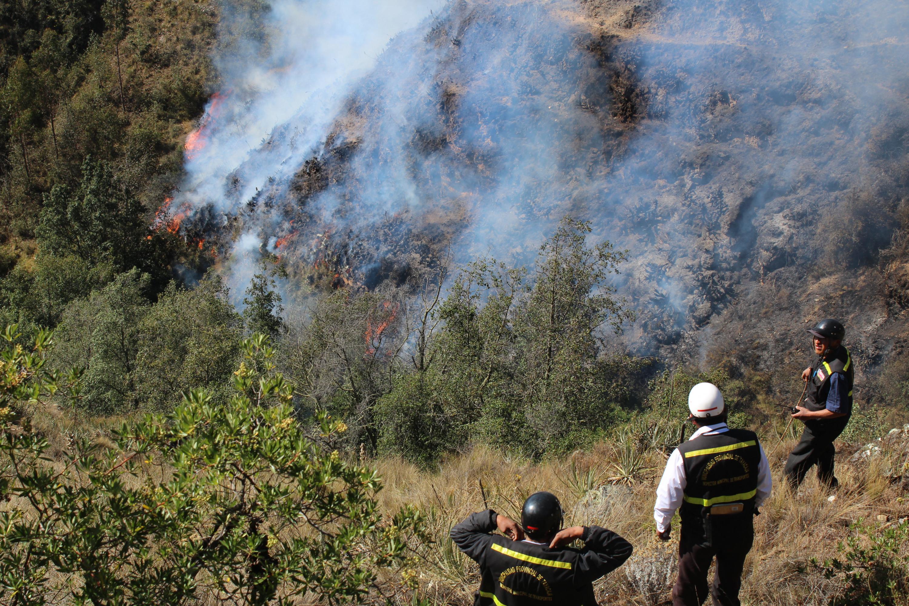 Junín: después de cuatro días sofocan incendio forestal en Hualhuas
