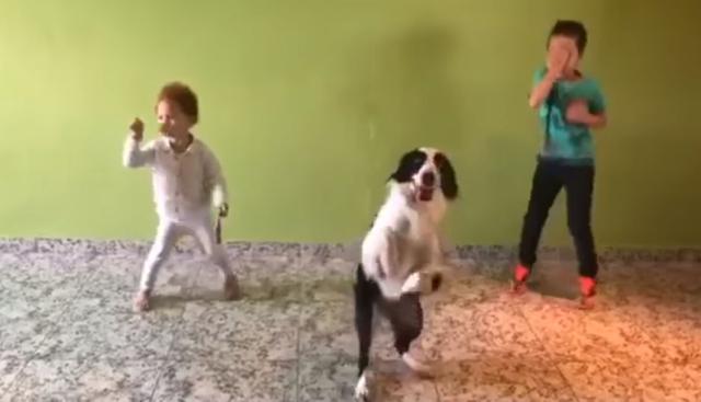 En Facebook se volvió viral el video de dos niños que, junto a su perro, se divierten con un cautivador baile popular de Brasil. Esto es lo que debes saber sobre el popular reto "Pipiripom Challenge", el cual inundó las redes sociales. (Foto: Captura)