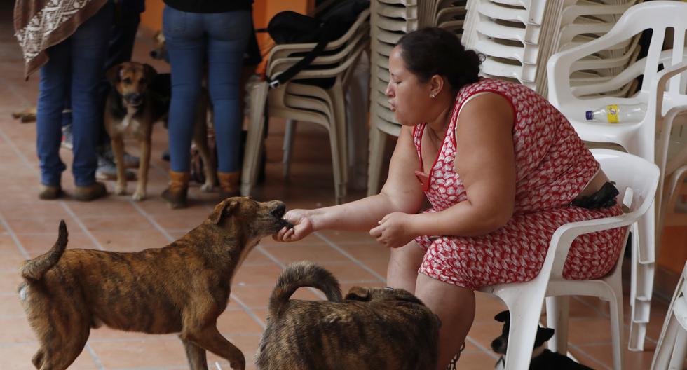 The woman whose 4 dogs saved her life after an avalanche in Colombia