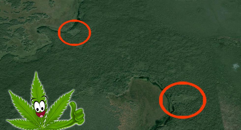 Arqueólogo estadounidense asegura que supuesta ciudadela maya hallada por adolescente canadiense sería un campo de marihuana. (Foto: Google Maps)
