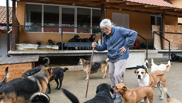 Tiene 71 años, cuida a más de 160 animales en casa y necesita ayuda para seguir con su loable acción | Esta linda historia tiene lugar en Serbia, tiene como protagonista a una anciana de avanzada edad y a un ímpetu difícil de superar. (harmonyfund)