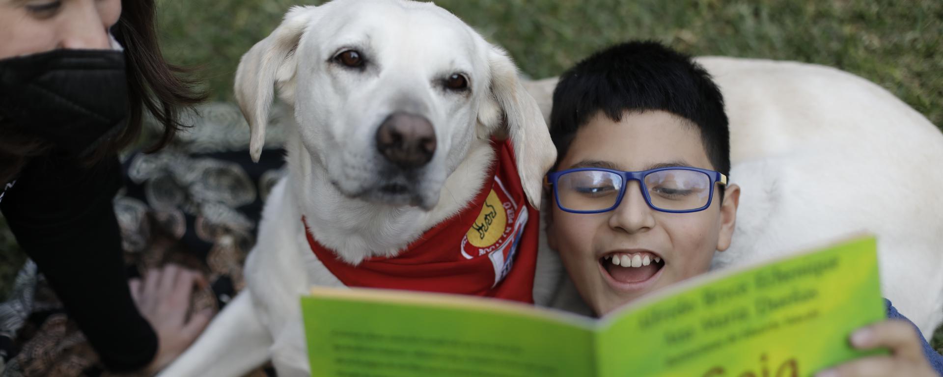 Día del Niño: Terapia equina y canina en Lima como alternativa para los pequeños 