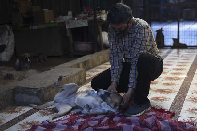 Ravi Dubey, fundador de People for Animals Trust juega con 'Rocky', una perra que perdió sus patas delanteras en un accidente de tren, en Faridabad. (Foto de Money SHARMA / AFP)