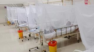 Dengue: Cifra de muertes por la enfermedad se elevan a 30 en Ica