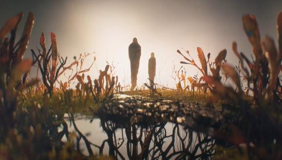 ¿Es posible que el hongo de "The Last of Us" exista en la vida real? Aquí te lo contamos. (Foto: HBO)