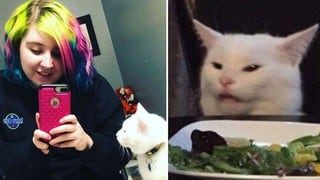 “Nunca imaginé que fuera tan conocido”, dice la dueña del gato cuyo meme es viral