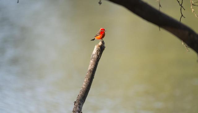 (Foto: Fernando Criollo / PromPerú)