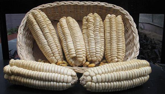 España es el principal comprador del maíz gigante del Cusco | ECONOMIA | EL  COMERCIO PERÚ
