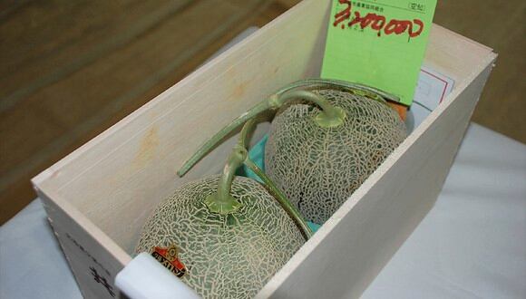 Subastados por un precio récord de 45.600 dólares dos melones en Japón. (AFP)