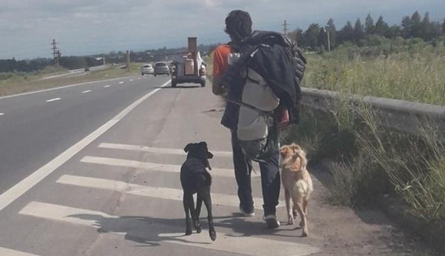 El joven mochilero adoptó a dos perritas abandonas durante su viaje y recorrió una gran distancia para llevarlas de regreso a su nuevo hogar. (Fotos: Luqas Gimenez en Facebook)
