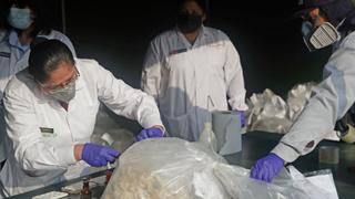 Ministerio del Interior: más de 16 toneladas de droga fueron destruidas en primer proceso del año