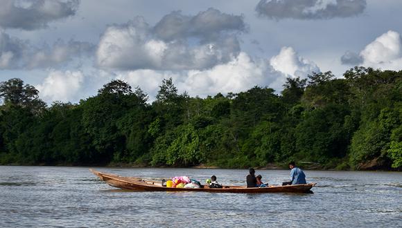 El programa abarca un área de 247, 000 hectáreas de exuberante selva amazónica cusqueña alrededor de la zona de influencia del Proyecto Camisea en los lotes 56 y 88.