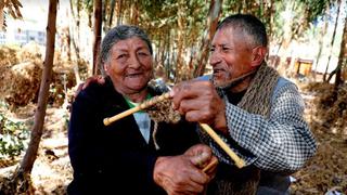 Cusco: conoce a la tierna pareja de ancianos de 80 años experta en tejer