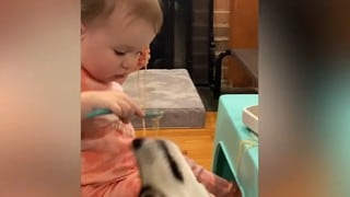 Bebé y perro enseñan en video viral la importancia de compartir