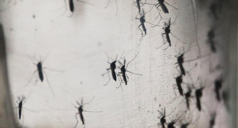 Se eleva número de casos de Zika. (Foto: Getty Images)