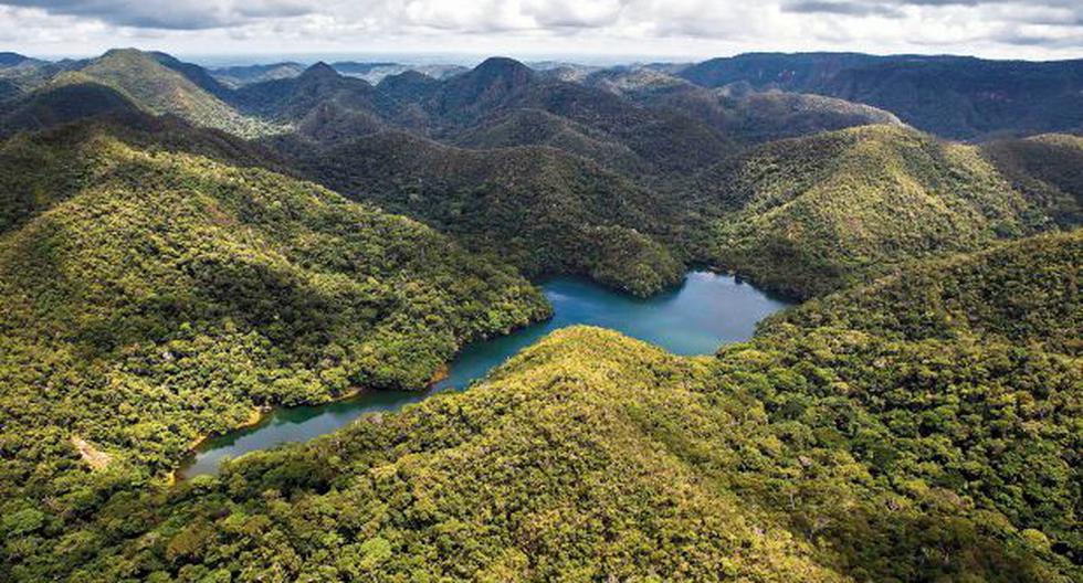 Sierra del Divisor: publican decreto que crea parque