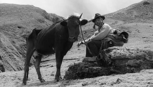 La película peruana “Samichay, en busca de la felicidad” ha recibido importantes galardones en diversos festivales de cine. (Foto: Instagram)