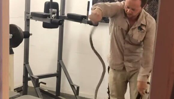 Una peligrosa serpiente invadió el gimnasio de una casa ubicada en el sur de Australia | Foto: Captura de video YouTube ViralHog
