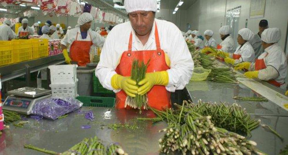Se busca trabajar en la exportación de papa blanca sobre todo en el mercado del sur de Brasil. (Foto: Andina)