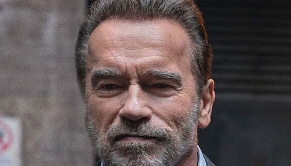 Arnold Schwarzenegger interpreta a Luke Brunner en la serie "FUBAR" (Foto: Netflix)