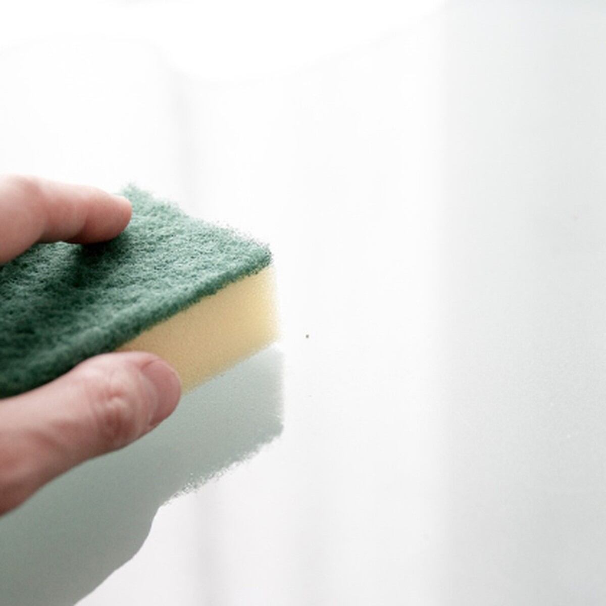Qué tan durables y limpias son tus esponjas de cocina? - FOMAN