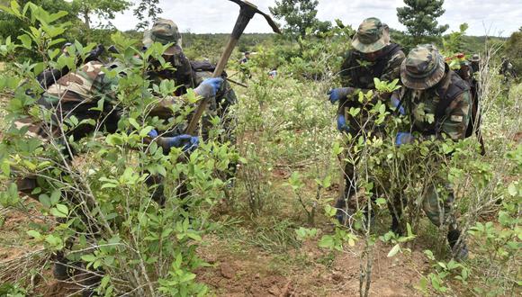 Soldados erradican los cultivos de hoja de coca en la región central boliviana del Chapare el 18 de enero de 2019. (AIZAR RALDES / AFP).