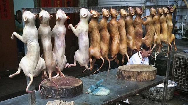 En China se preparan para fiesta en que se come carne de perro - 1