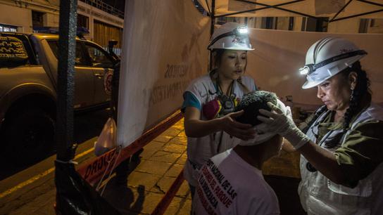 Un paciente de 70 años es tratado por el personal de Médicos Sin Fronteras (MSF) en Lima durante las protestas. Enero 2023. (Foto: Max Cabello Orcasitas).