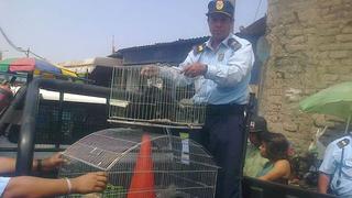 Trujillo: rescatan 28 perros y gatos en exteriores de mercado