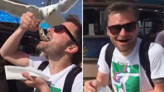 YouTube: estaba a punto de comer y una gaviota robó su alimento