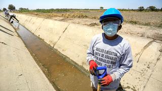 Gobierno ha destinado más de S/4.000 millones para reactivar el agro, según titular del Minagri