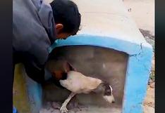 Chiclayo: rescatan a perro luego de quedar atrapado dentro de nicho