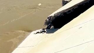 Reportan que 150 metros de defensas de río Piura presentan daños