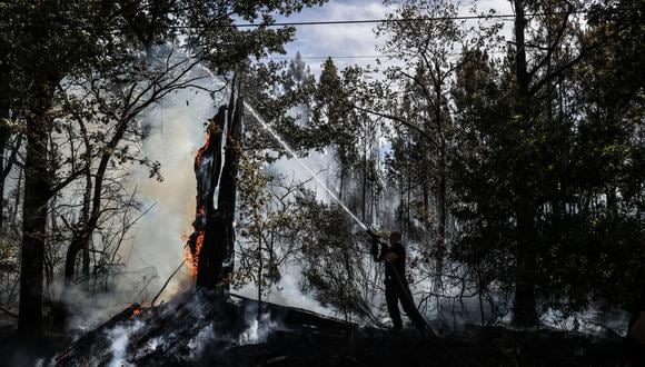 La suavización este sábado de los vientos que atizaron el fuego hizo que se frenara el avance de las llamas. (Foto de Thibaud MORITZ / AFP / referencial)