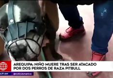 Arequipa: perros pitbull atacan y matan a niño de 6 años en su propia casa
