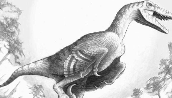 Científicos hallan nueva especie de dinosaurio alado