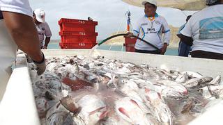 ¿A cuánto asciende el consumo per cápita de pescado en el Perú?