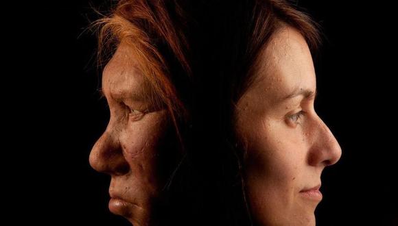 Fin de los neandertales: la investigación que busca descifrar qué acabó con nuestros ancestros lejanos. (Getty Images).