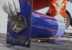 YouTube: impresionante rescate de gato que quedó atrapado en tubo