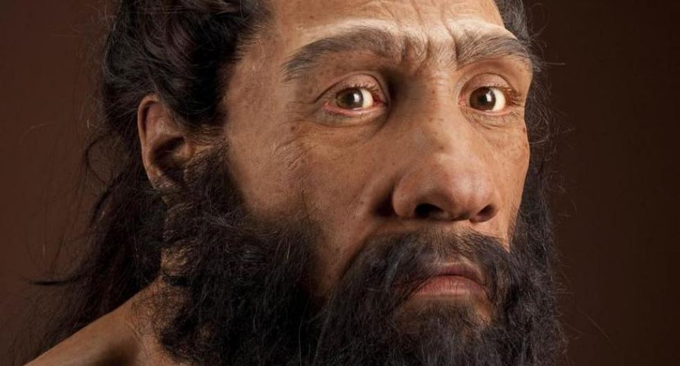 Canibalismo | ¿Por qué los antepasados de los humanos comían carne ...