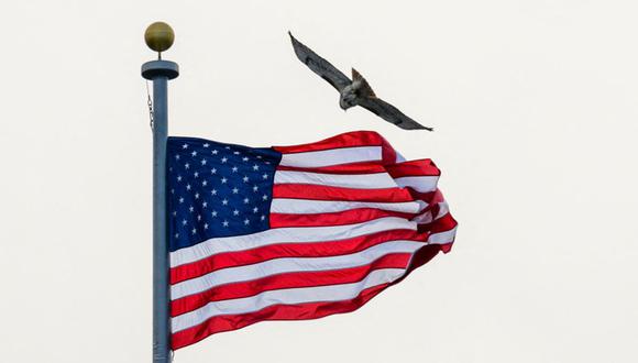 Un halcón vuela cerca de una bandera estadounidense sobre el edificio de oficinas ejecutivas de Eisenhower, junto a la Casa Blanca, en Washington, DC, el 9 de febrero de 2024 | Foto: Mandel NGAN / AFP