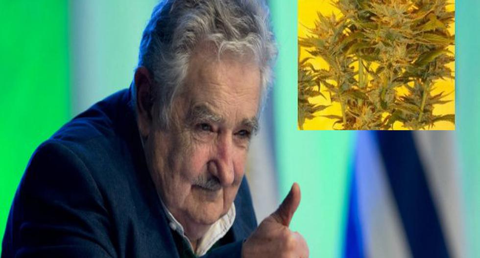 Inusual homenaje para expresidente José Mujica. (Foto: fuett.mx)