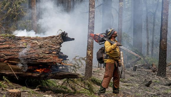 Un bombero de primera trabaja para contener el incendio de Cedar Creek, justo al este de Oakridge, Oregón, el 12 de septiembre de 2022. (Foto de Dan Morrison / AFP)